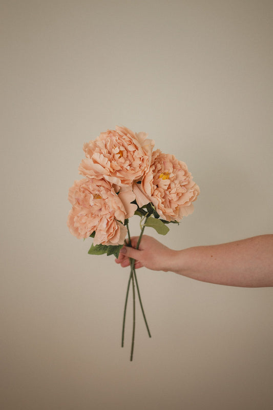 London Peony