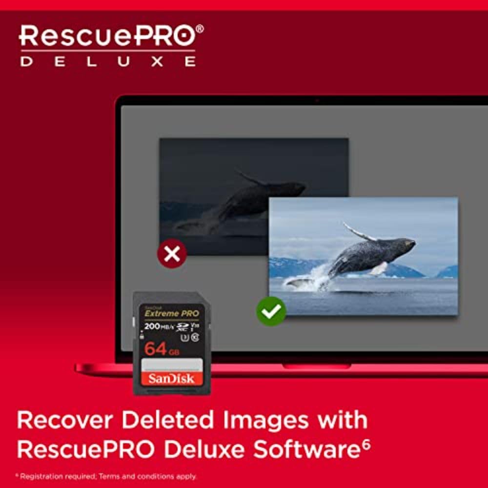 SanDisk 64GB Extreme PRO SDXC UHS-I Memory Card - C10, U3, V30, 4K UHD, SD Card - SDSDXXU-064G-GN4IN ๐ All In One Marketplace Canada