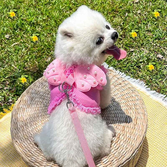 Angel Wings Dog Walking Set | Harness and Leash