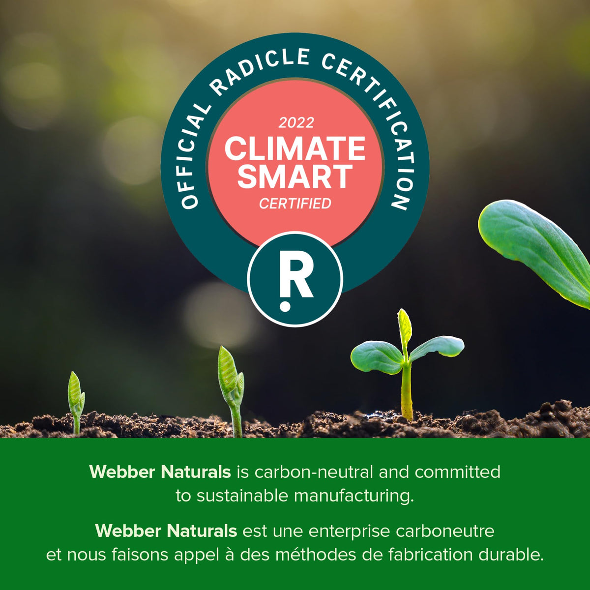 Webber Naturals Collagen with Lysine and Vitamin C, 120 Tablets, Helps Support Joints, Muscles, and Skin 🍁 All In One Marketplace Canada