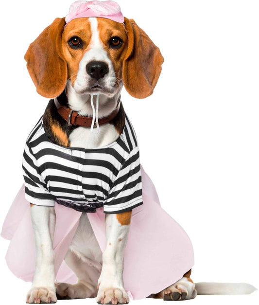 Rubies Costume Co Halloween Classics Collection Pet Costume, Small, 50s Girl Dress
