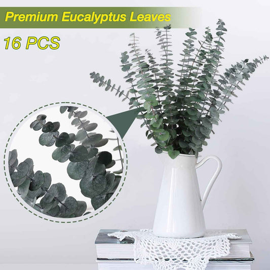 16Pcs-Preserved-Dried-Eucalyptus-Branches,17" Pure Natural Fresh Eucalyptus Plant for Shower, Real Eucalyptus Bunch for Vase Filler, Present for Mother, Dried Flowers Arrangement, Floral Home Decor 🍁 All In One Marketplace Canada