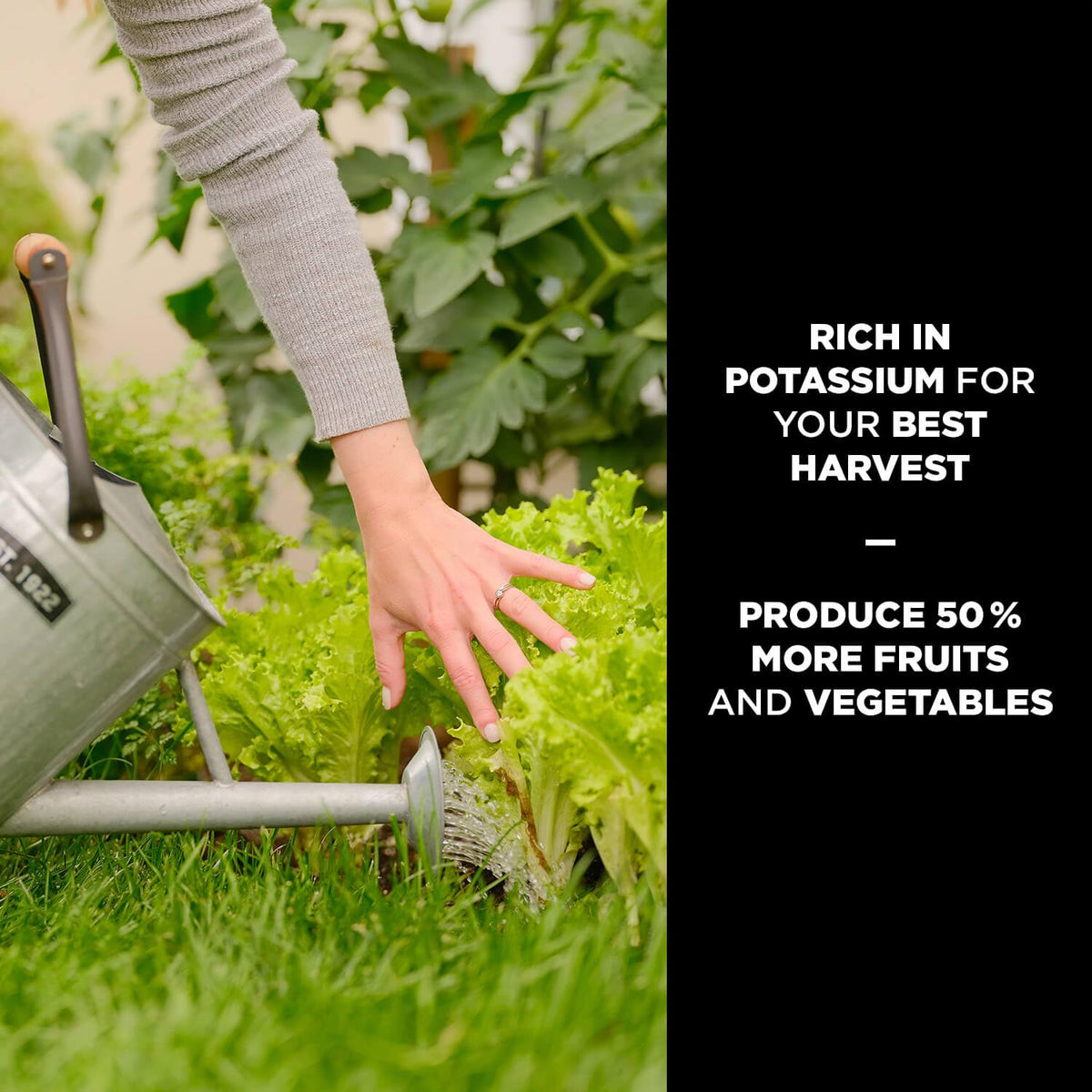 PRO-MIXยฎ Organic Tomatoes, Vegetables and Fruits 4-4-8 ๐ All In One Marketplace Canada