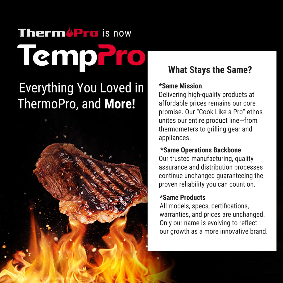 TempPro TP20 500FT Wireless Digital Thermometer with Dual Temperature Probe, Digital Cooking Food Thermometer Wireless for Smoker BBQ Grill Thermometer Beef Steak Turkey Thermometer 🍁 All In One Marketplace Canada