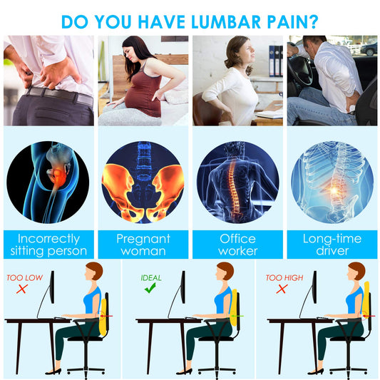 Lumbar Support Pillow for Office Chair Car Lumbar Pillow Lower Back Pain Relief Memory Foam Back Cushion with 3D Mesh Cover Gaming Chair Back Pillow Ergonomic Back Rest for Wheelchair Desk ๐ All In One Marketplace Canada