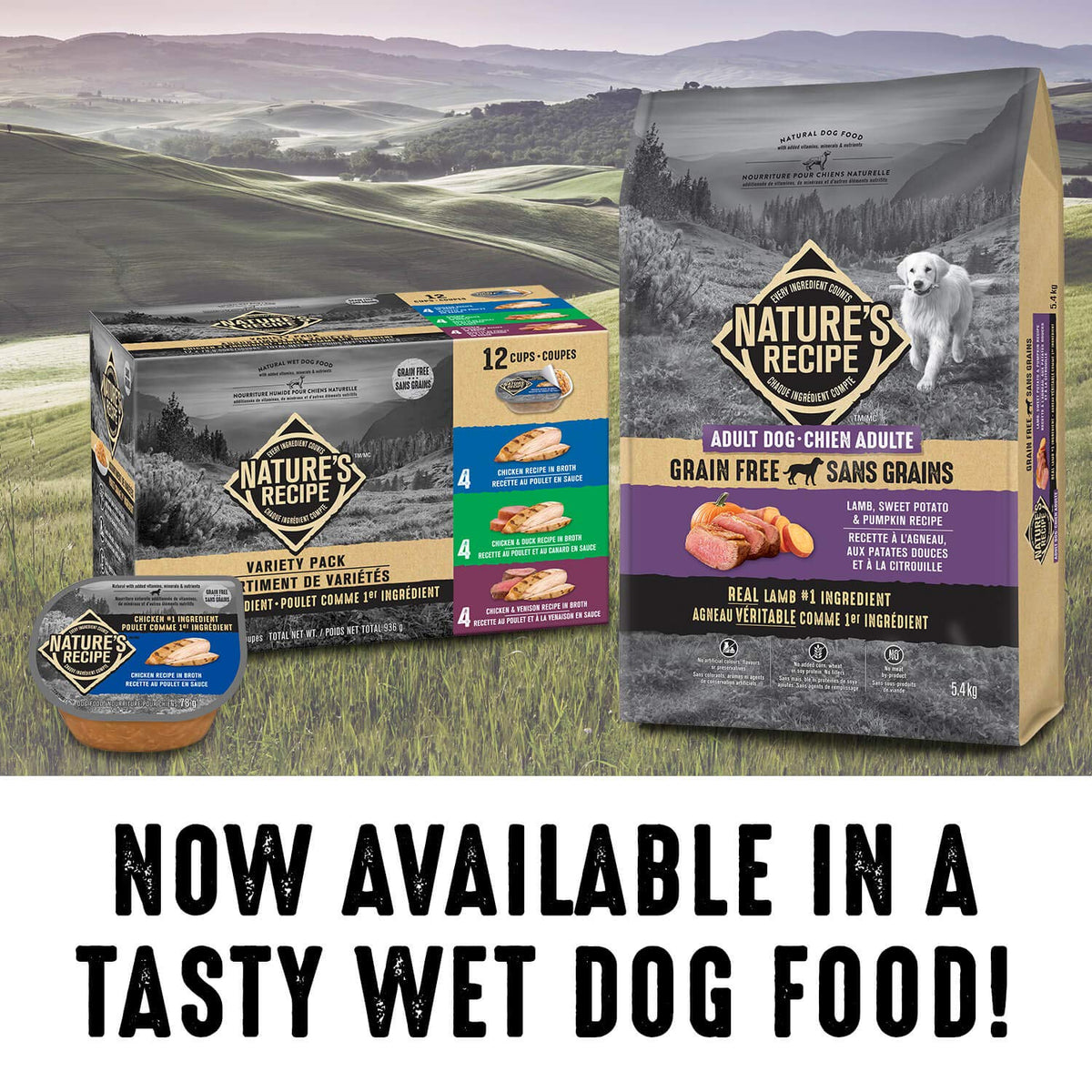 Natureโs Recipe Adult Grain Free Lamb, Sweet Potato & Pumpkin Recipe Dog Food 5.4 kg ๐ All In One Marketplace Canada