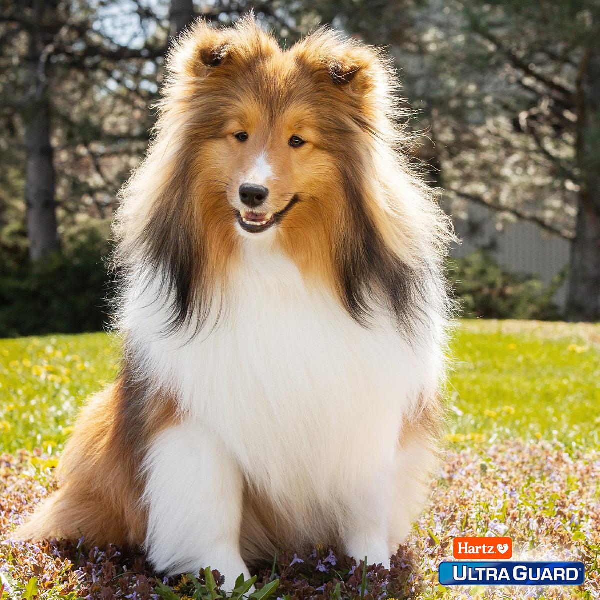 UltraGuard Pro Topical Flea & Tick Prevention for Dogs and Puppies - 2.5-6, 3 Monthly Treatments đ All In One Marketplace Canada
