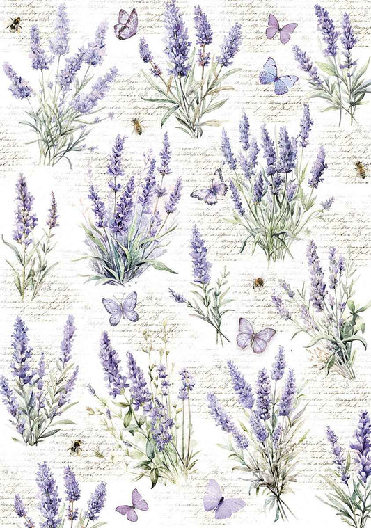 Vellum Morning In Provence Paper Patterns A4 6/Pkg