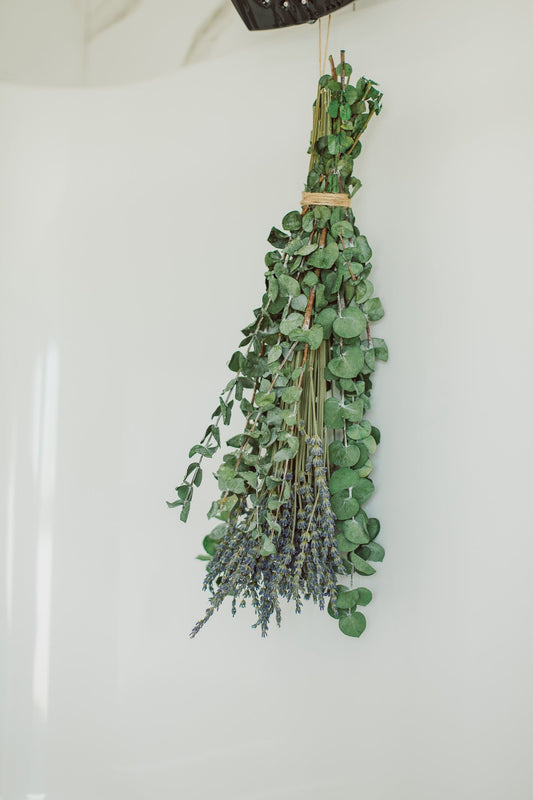 Eukalyptus-Duschenbündel