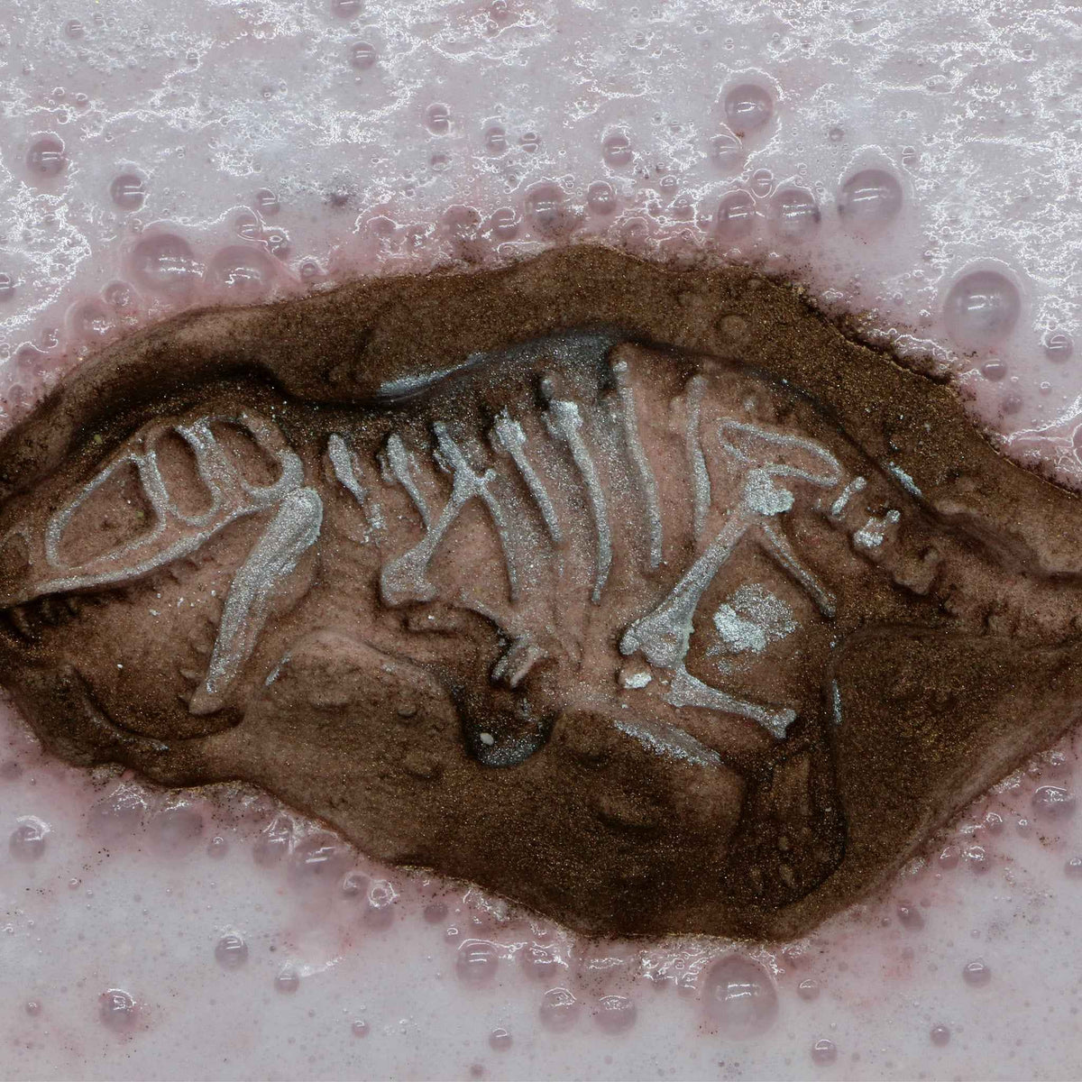Dino Fossil