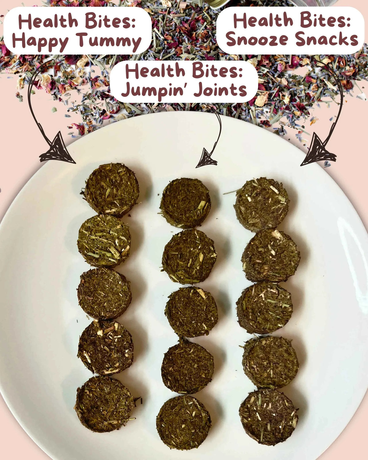 Health Bites: Snooze Snacks