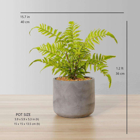 Kuta Potted Faux Fern