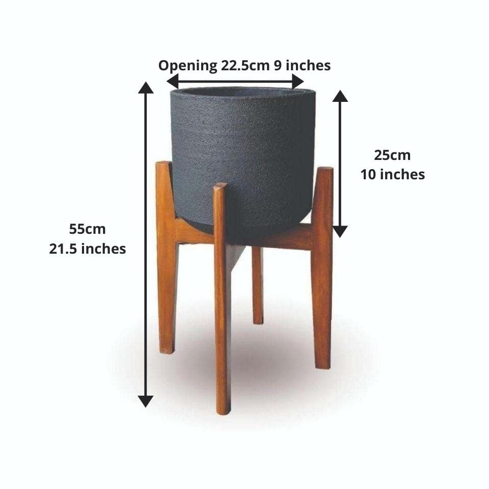 Neri Schwarzer Mid-Century Zement Übertopf mit Holzständer