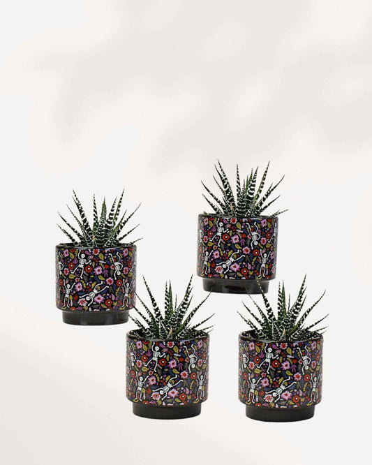Day of the Dead Pot