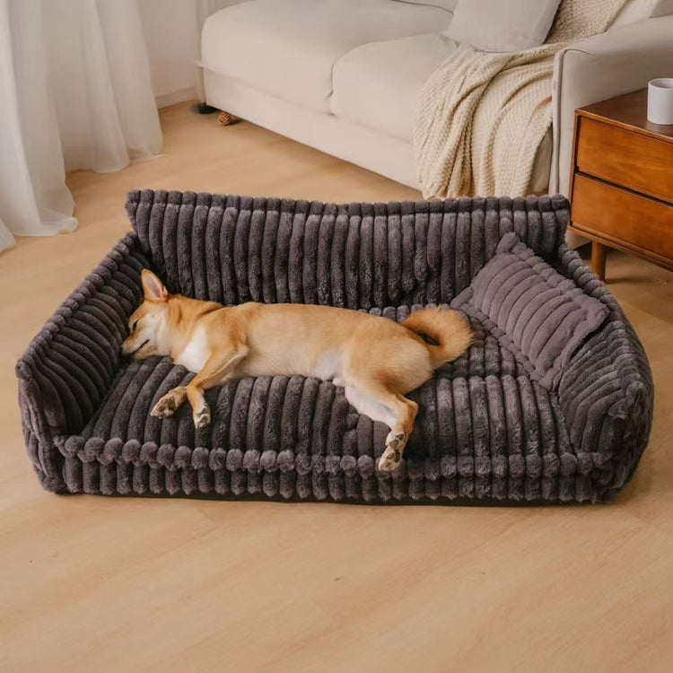 Pet Essentials: Sofas, Water Bottles & Pet Brush