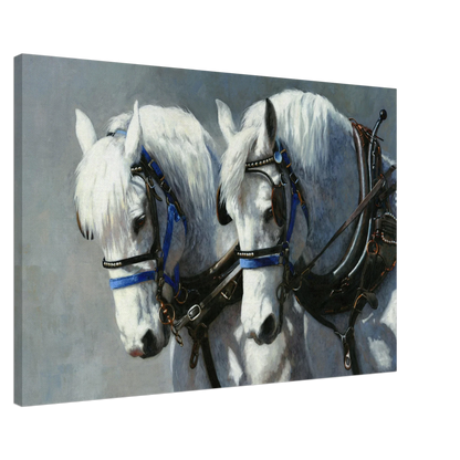 Pure Power Canvas Print