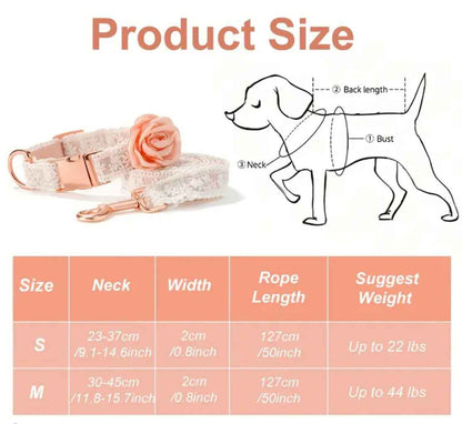 Enchanted Collar & Leash Set | Dog Collar and Leash