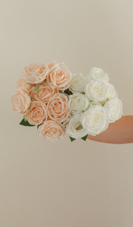 Neues Rosen-Bundle