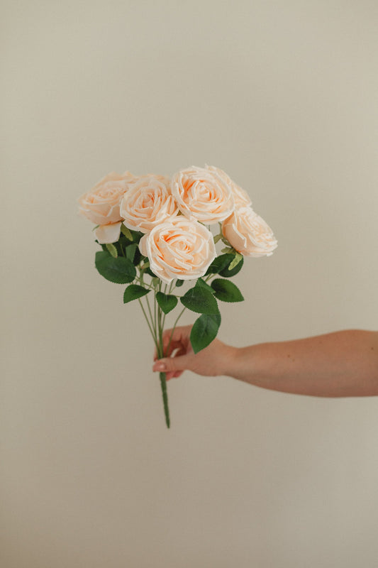 Neues Rosen-Bundle