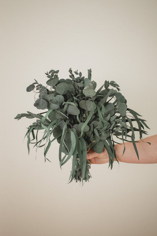 Eukalyptus-Trockengesteck