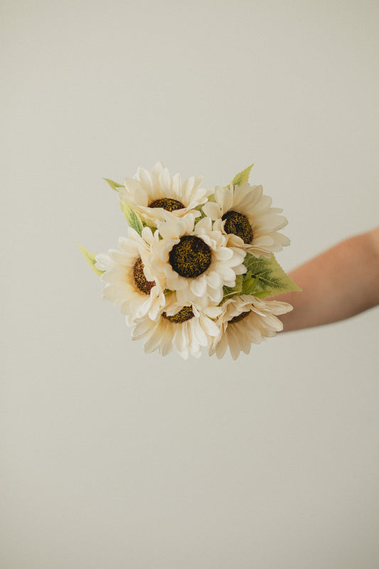 Klassische Sonnenblume