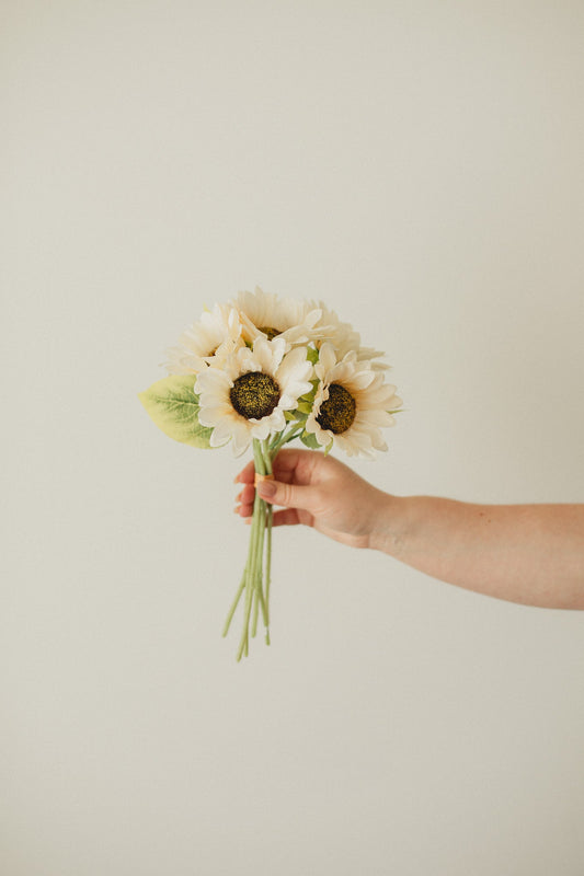 Klassische Sonnenblume
