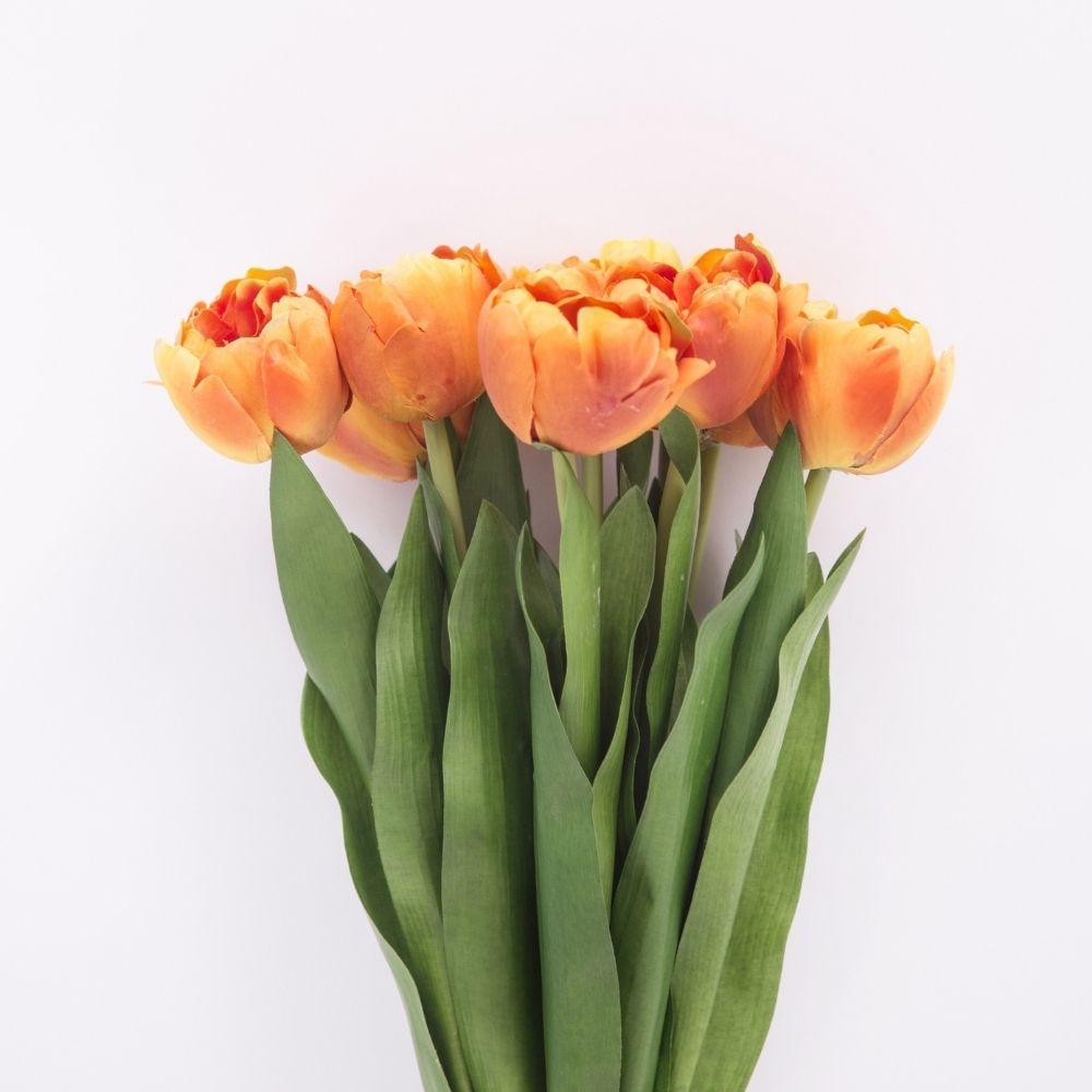 Arleta Künstlicher Oranger Tulpenstrauß 58,4 cm x 20,3 cm (8er-Set)