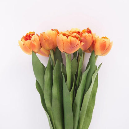 Arleta Künstlicher Oranger Tulpenstrauß 58,4 cm x 20,3 cm (8er-Set)