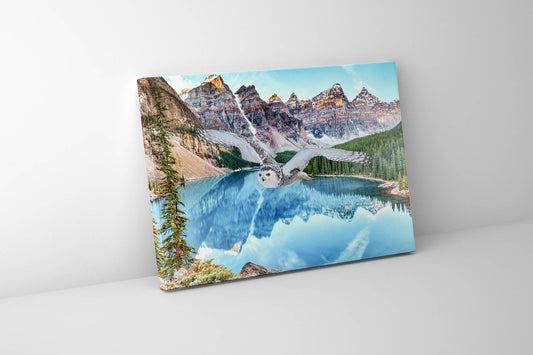Leinwand-Tierkunst – Schneeeule bei Banff – Gedrucktes Kunstwerk