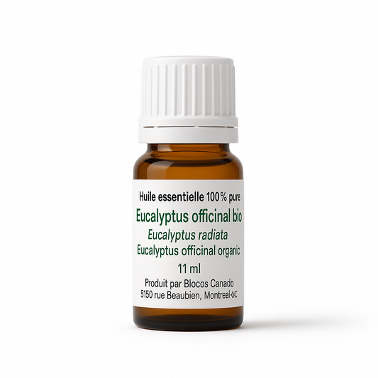 Eucalyptus officinal (Radiata)