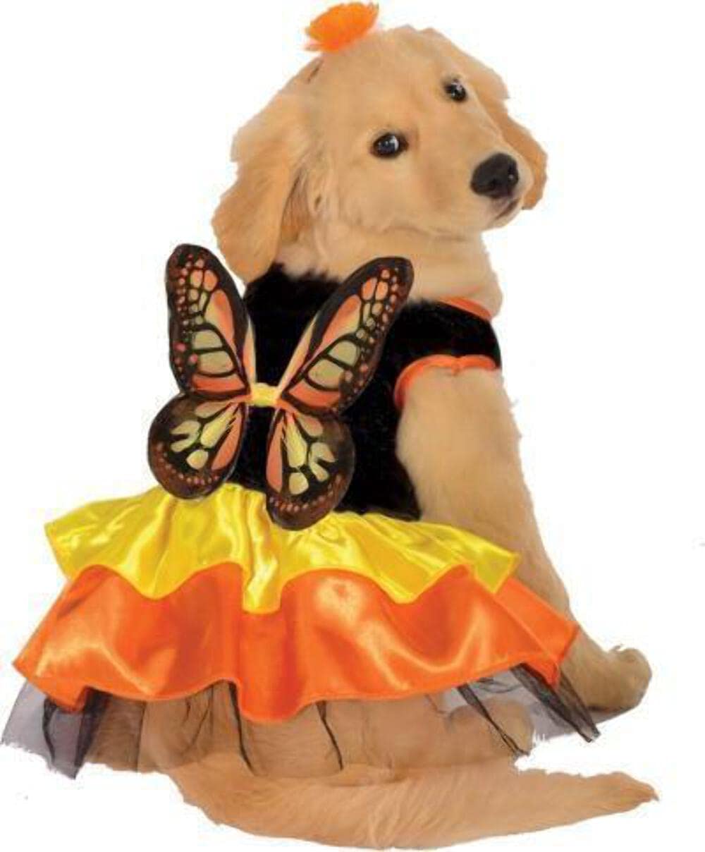 Rubies Costume Co Halloween Classics Collection Pet Costume, Medium, Monarch Butterfly