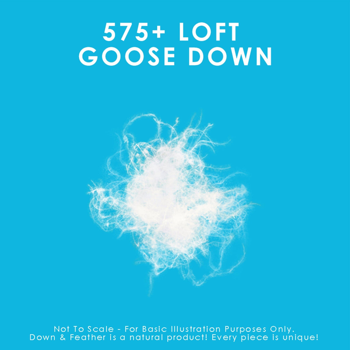 White Goose Down Cushions