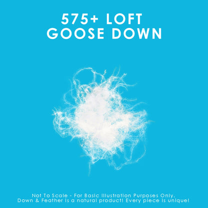 White Goose Down Cushions