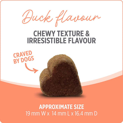 Nutrience Care® Probiotic+ Dog Supplement, 100 Soft Chews, 400 g 🍁 All In One Marketplace Canada