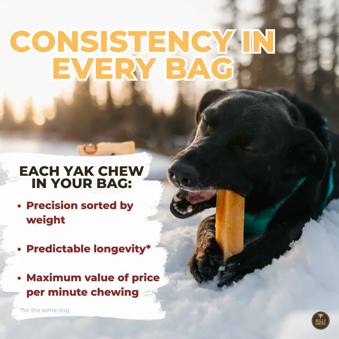 Bully Bunches Large Authentic Yak Cheese Himalayan Chews for Large Dogs & Heavy Chewers - All Natural Dog Treat Dental Chews, Made with Real Yak Milk - Lactose & Rawhide Free (2 Pk) 🍁 All In One Marketplace Canada