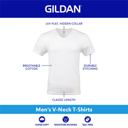Gildan Men's V-Neck T-Shirts, Multipack, Style G1103, Black/Sport Grey/Charcoal/Military Green (5-Pack), Large 🍁 All In One Marketplace Canada