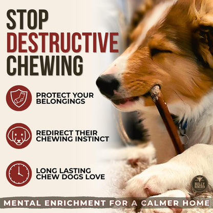 Bully Bunches Premium (6" Standard - 20 Pack) Odour-Free, Consistently Sized Bully Sticks for Medium Dogs - Long Lasting Oral Care Chews - All Natural Fully Digestible Beef Treat, No Rawhide 🍁 All In One Marketplace Canada