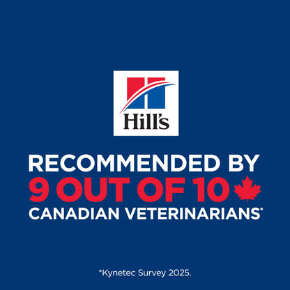Hill's Science Diet Adult Sensitive Stomach & Skin Small Bites Dry Dog Food, Chicken Recipe 13.6 kg Bag 🍁 All In One Marketplace Canada