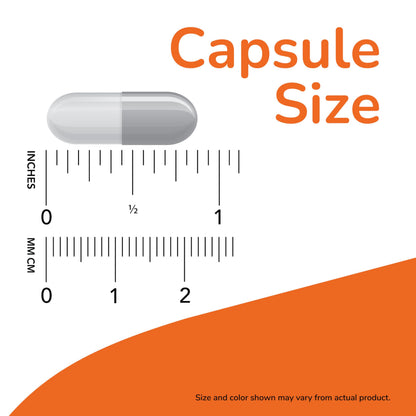 NOW Supplements, Acetyl-L Carnitine 500 mg, Amino Acid, Brain And Nerve Cell Function, 100 Veg Capsules 🍁 All In One Marketplace Canada