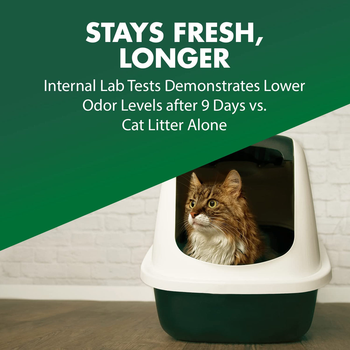 ARM & Hammer Cat Litter Deodorizer Double Duty, 30 oz, 6 Pack 🍁 All In One Marketplace Canada