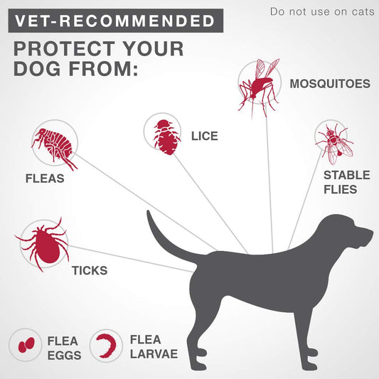 K9 Advantix II - Flea/Tick Prevention - Vet Recommended - Medium Dog - 6-Pk 🍁 All In One Marketplace Canada