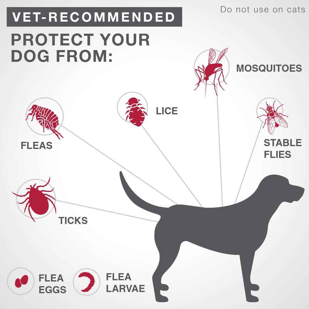 K9 Advantix II Flea & Tick Prevention – Small Dog - Vet Recommended - 2-Pk 🍁 All In One Marketplace Canada