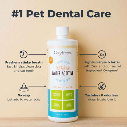 Oxyfresh Premium Pet Dental Care Solution Pet Water Additive: Best Way to Eliminate Bad Dog Breath and Cat Bad Breath - Fights Tartar & Plaque - So Easy, Just Add to Water! Vet Recommended 16 oz. 🍁 All In One Marketplace Canada