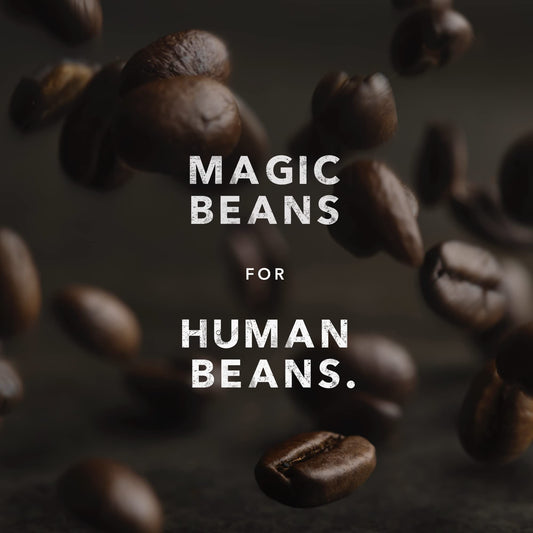 Kicking Horse Coffee - Decaf, Swiss Water Process, Whole Bean 100% Arabica Coffee | Dark Roast | All Organic & Fairtrade | 850 g 🍁 All In One Marketplace Canada