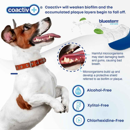 bluestem Dental Care Water Additive for Dogs – No Brushing Daily Teeth Cleaner – Pet Oral Rinse to Freshen Breath & Help Reduce Plaque – Flavorful & Easy Oral Hygiene (500 ml, Vanilla Mint) 🍁 All In One Marketplace Canada
