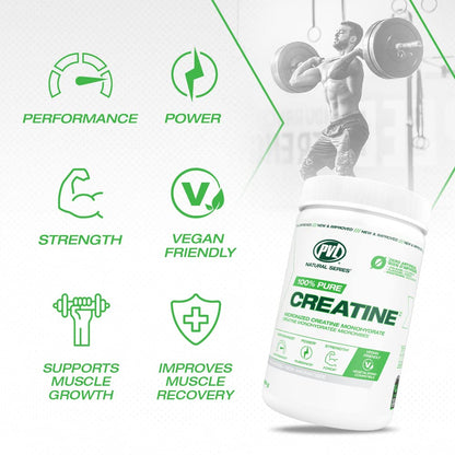 PVL 100% Pure Creatine Monohydrate Powder – Micronized Supplement for Women & Men, Unflavoured Amino Acids & Beta Alanine Friendly, Informed-Choice Tested, 300 g 🍁 All In One Marketplace Canada