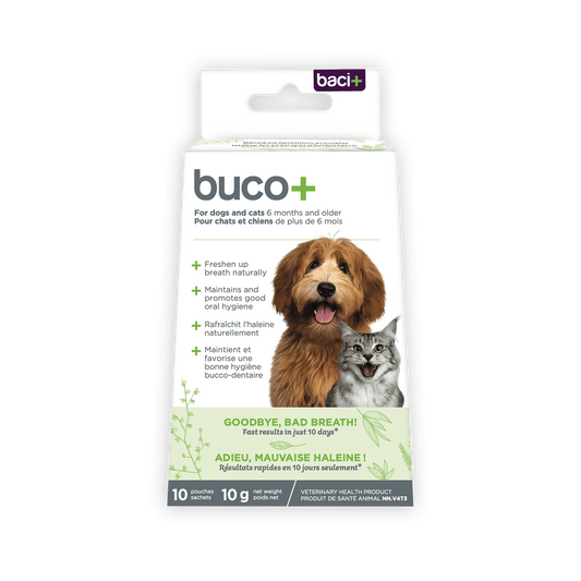 Promo Buco+ 10 Jours – Traitement Express Mauvaise Haleine pour Chiens & Chats