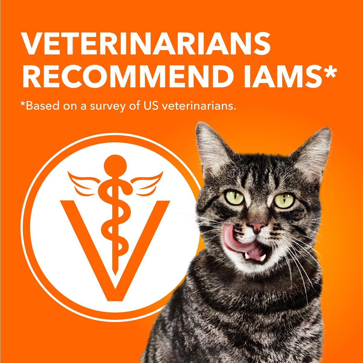 IAMS Perfect Portions Adult Wet Cat Food - Chicken and Tuna Paté Variety Pack, 75g (24 Pack) 🍁 All In One Marketplace Canada