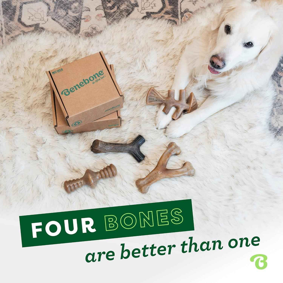 Benebone 4-Pack Durable Dog Chew Toys for Aggressive Chewers, Real Flavors, Made in USA, Medium 🍁 All In One Marketplace Canada