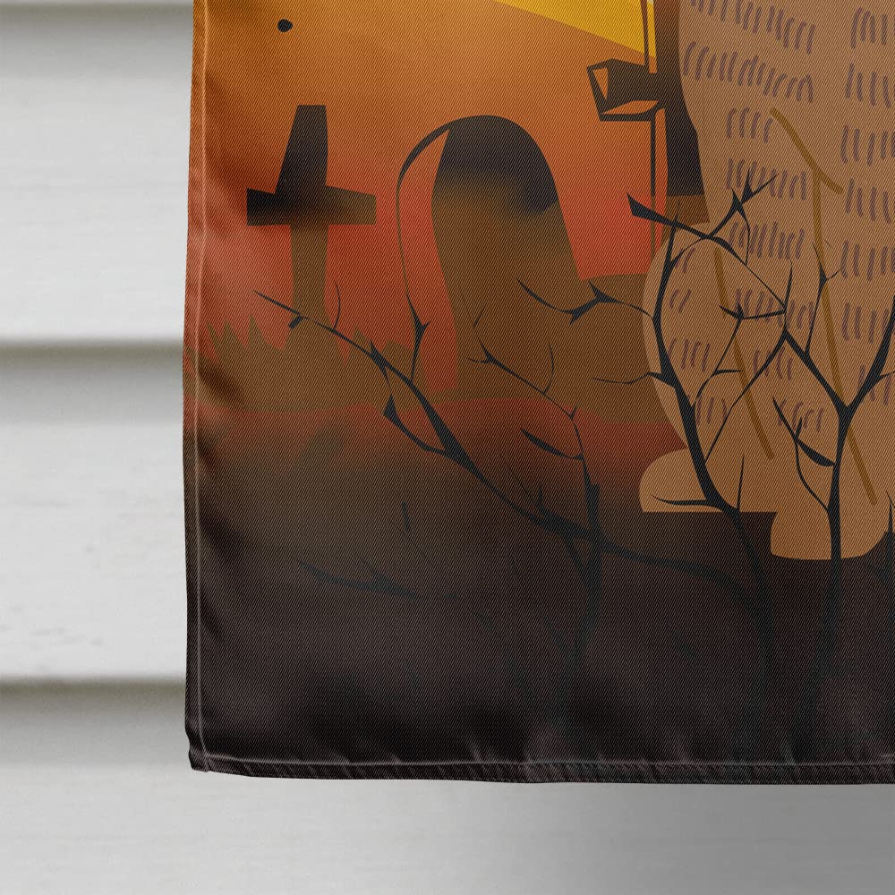 Caroline's Treasures BB4383CHF Halloween Brindle Boxer Flag Canvas House Size, Large, Multicolor
